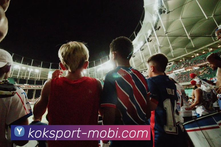 KOK体育服务体系